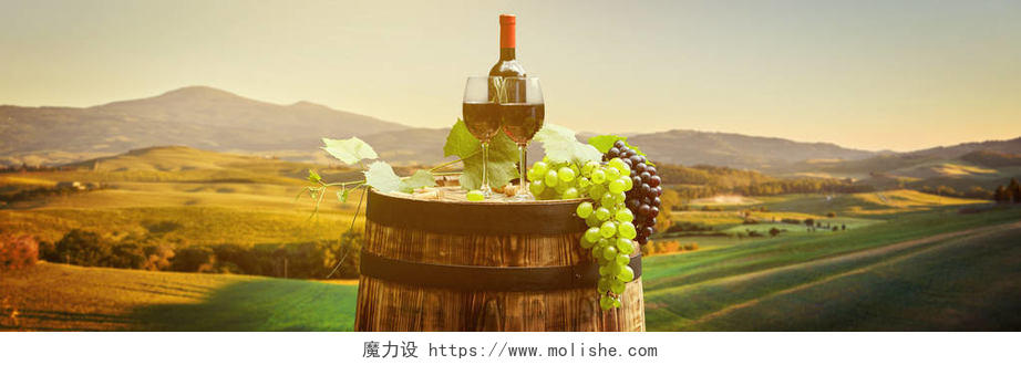 意大利托斯卡纳绿色葡萄园里的红葡萄酒